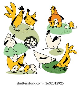 farm animals. Chicken, rooster and little hens on the grass. Set of elements for easter design. Cute chicken family design. Flat style, cartoon style. Vector illustration