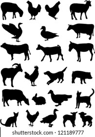 farm animals collection vector