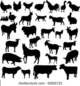 farm animals collection  - vector