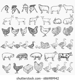 Farm Animals Collection, Vector Hand Drawn Set