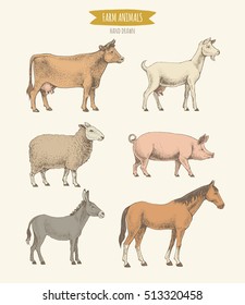 Farm animals collection. Vector illustration of hand drawn color farm mammals in retro style, including cow, goat, sheep, pig, donkey and horse, isolated on background. 
