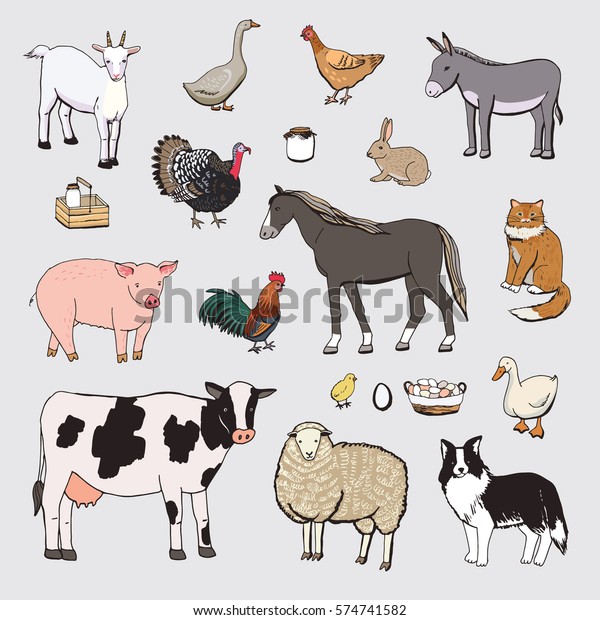 Farm Animals Color Set Stock Vector (Royalty Free) 574741582 | Shutterstock