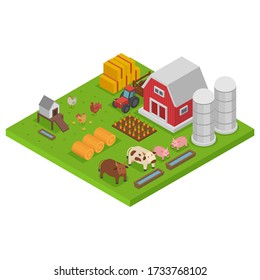 farm with animals, colorful isometry, isometric agriculture concept, natural habitat, design, cartoon style vector illustration. Landscape outdoors, livestock on green grass, hens cows and pigs.