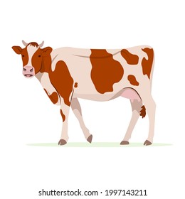 Farm animals concept. Cute funny farm domestic cow red and white patched wool breed cattle. Adorable cow standing, side view. Cartoon vector illustration in flat style