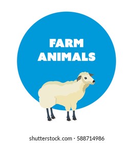 Farm animals concept. Cute funny white sheep isolated on white background. Cartoon vector illustration isolated