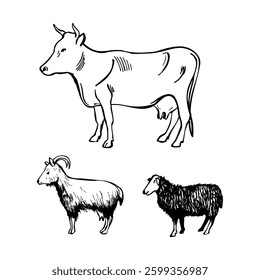 Farm animals. Cow, goat, sheep. Vector sketch illustration.