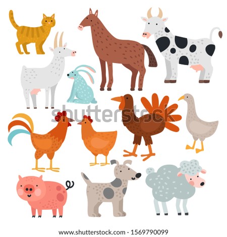 Similar – Image, Stock Photo pig Nature Animal