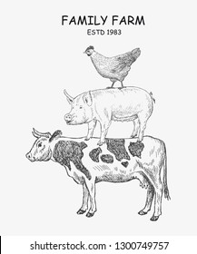 Farm animals Cow, Pig, Chicken. Vector illustration emblem or logo template. Vintage design with hand drawn sketch. Line art style.
