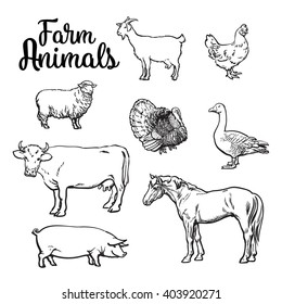 Farm animals, cow, pig, chicken, goose, poultry, livestock, color vector illustration, sketch style with a set of animals isolated on white background, realistic animal products for sale