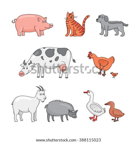 GOAT SHEEP CHICKEN COW DOG t GOAT SHEEP CHICKEN COW DOG t
