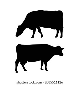 Farm animals cows isolated on white background vector image.