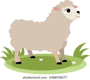 Farm Animals. Cute gray sheep on green grass on a white background. Baby flat vector illustration. 