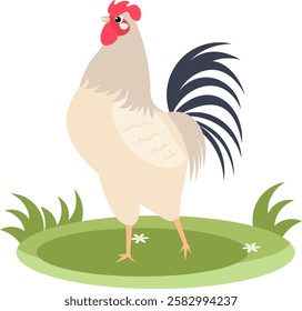 Farm Animals. Cute farm. An important rooster stands on the green grass.  Collection of farm animals. Baby flat vector illustration. Isolated