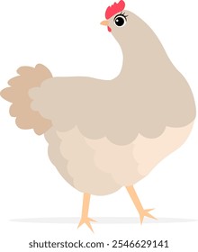 Farm Animals. Cute farm. Just a cute chicken on a white background. Collection of farm animals. Baby flat vector illustration.
