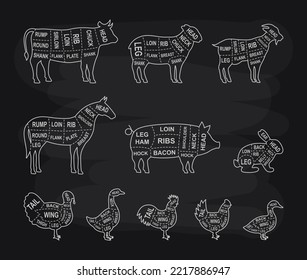 Farm animals cuts outline set. Pig, Horse, Turkey, Goat, Sheep, Chicken, Rooster, Duck, Rabbit, Goose, Cow cuts of meats. Meat diagram line banner