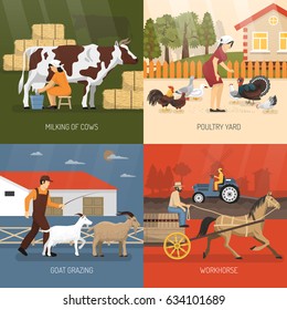 Farm animals design concept with four square icon set and milking of cows poultry yard goat grazing and workhouse descriptions vector illustration