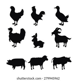 Farm animals design over white background, vector illustration.