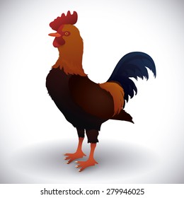 Farm animals design over white background, vector illustration.