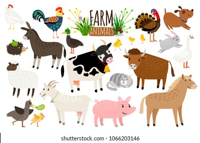 Farm animals. Domestic farm animal collection isolated on white background, goose and donkey, pig and goat, cow and sheep vector illustration
