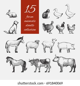Farm Animals doodle set for domestic fauna design. Hand drawn cow, horse, cat, sheep, chicken, rooster, hen, duck, turkey, goat, rabbit, dog, donkey, pig, beef, goose isolated on white. Vector