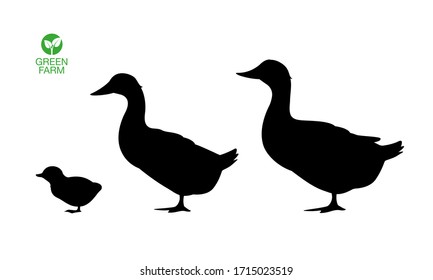 Farm Animals Duck Icon Set Vector Illustration