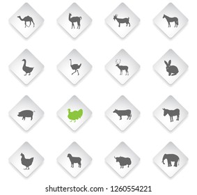 farm animals flat rhombus web icons for user interface design