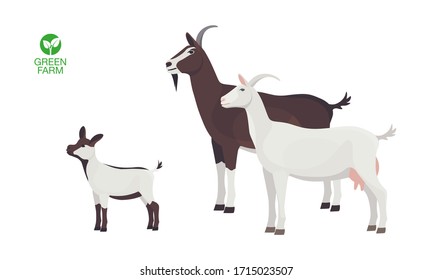 Farm Animals Goat Set Vector Illustration