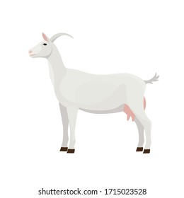 Farm Animals Goat Vector Illustration