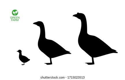 Farm animals goose icon set vector illustration