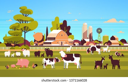 farm animals grazing cow goat pig turkey sheep chicken different domestic animals breeding farming concept flat farmland barn countryside landscape flat horizontal