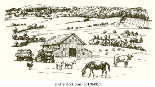 Farm animals grazing on meadow. Farm on the background. Hand drawn illustration.