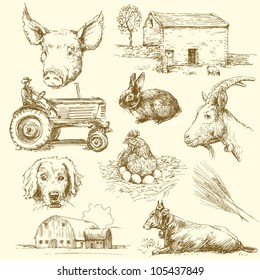 Farm Animals - Hand Drawn Collection