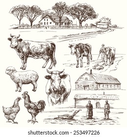 Farm Animals - Hand Drawn Collection