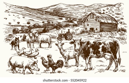 Farm animals. Hand drawn vector illustration.