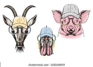 Farm animals in hat and glasses. Modern sketch kit in color on white background