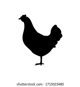 Farm animals hen chicken icon vector