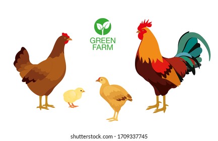 Farm animals hen cock chicken broiler with Green Farm Logo.