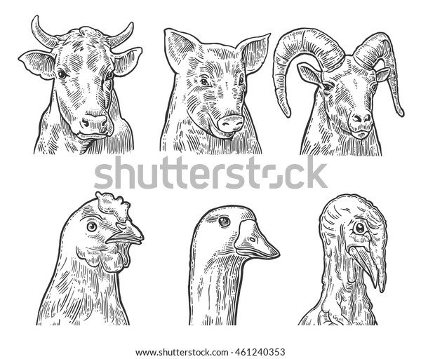 Farm Animals Icon Set Heads Pig Stock Vector Royalty Free 461240353