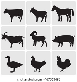 Farm Animals Icons