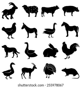 Farm animals icons set