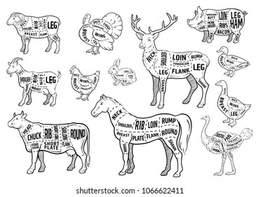 Farm animals icons set. Collection of labels with beautiful such as goat chicken pig boar duck goose horse cow Turkey hare ostrich deer butcher shop, steak house. Vector illustration