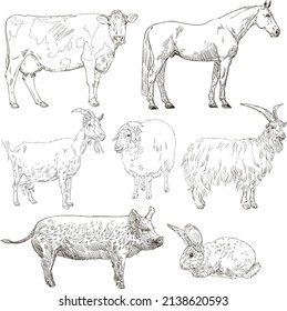Farm animals. Isolated on white background. Vintage vector set . Engraving.
