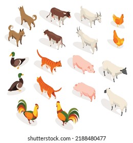 Landtiere isometrisch. Set von Haustieren in 3D flach hinten und Frontansicht. Rutsche Spielfiguren. Kuh und Hund, Katze und Gans, Huhn und Ziege, Schafe, Schweine und Enten. Vektorsymbole