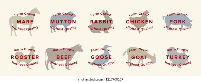 Farm animals labels set. Butchery templates. Vector retro illustration. Hand drawn livestock .