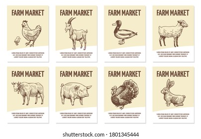 Farm animals labels. Tags for shops of organic food, hand drawn chicken and cow, pig and sheep, turkey and duck monochrome badges in engraving style flat vector sketch emblems with copy space