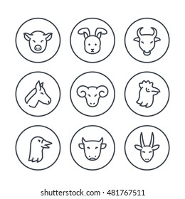 Farm animals line icons in circles