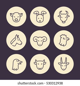 Farm animals line icons set, goat, ram, hen, goose, pig, rabbit, bull, horse, cow head