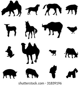 Farm Animals Livestock and poultry