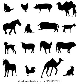 Farm Animals Livestock and poultry