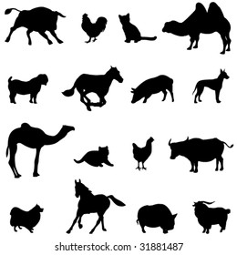 Farm Animals Livestock and poultry